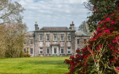 Meet the Head Gardeners from Trewithen Gardens