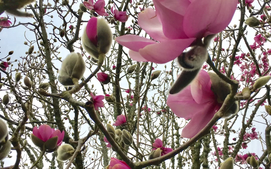 Meet our two new trustees