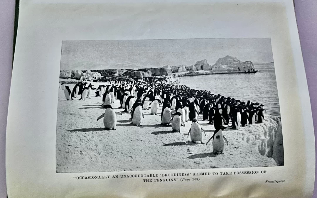 Emmy’s February Find: Treasures from our Collection