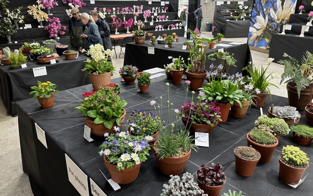 Join us at these Cornwall events this Spring