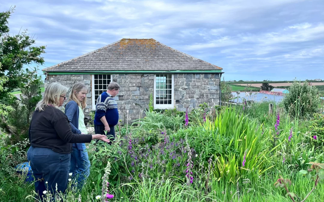 Working on the plans for our sensory garden