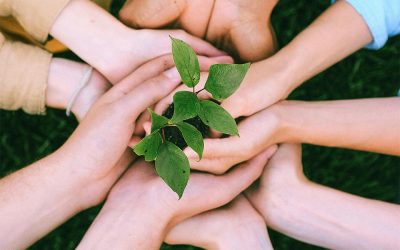Join our new creative community sessions to help with wellbeing