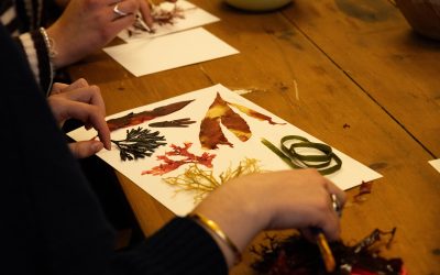 Extending the Gardeners’ House Art Project