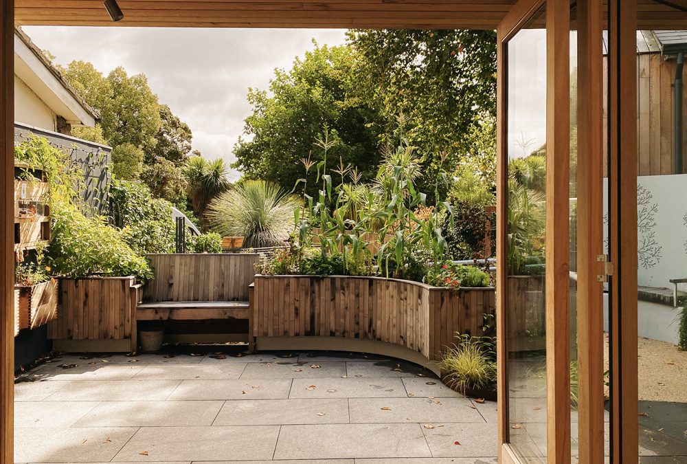 Read our Annual Report for 2024-2025