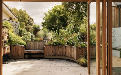 Read our Annual Report for 2024-2025