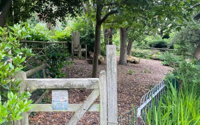 The Gardeners’ House receives funding for our outdoor play space