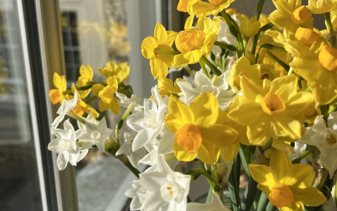 Caring for the Living Archive at The Gardeners’ House