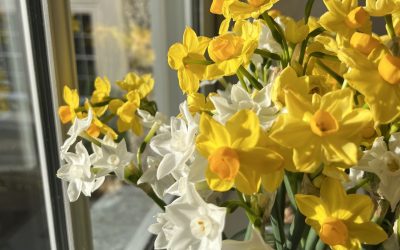 Caring for the Living Archive at The Gardeners’ House