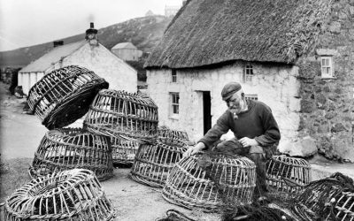 Rosyansow Journal: Willow