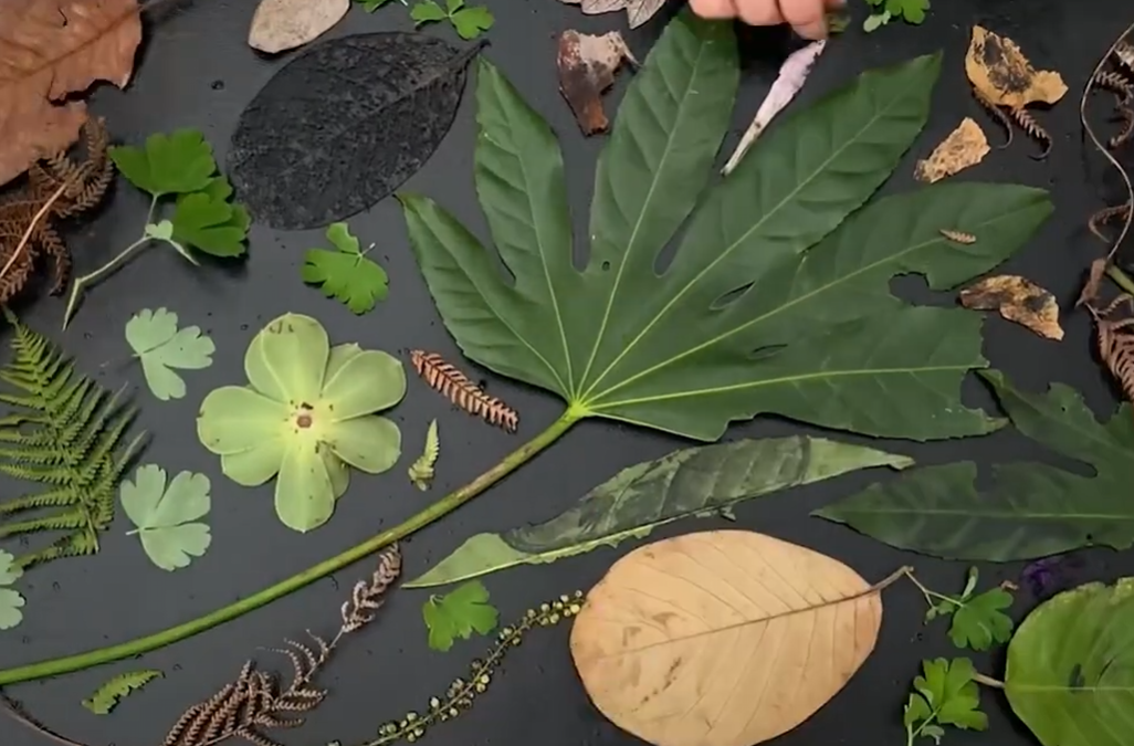 Launching our Morrab Memories film made by local students