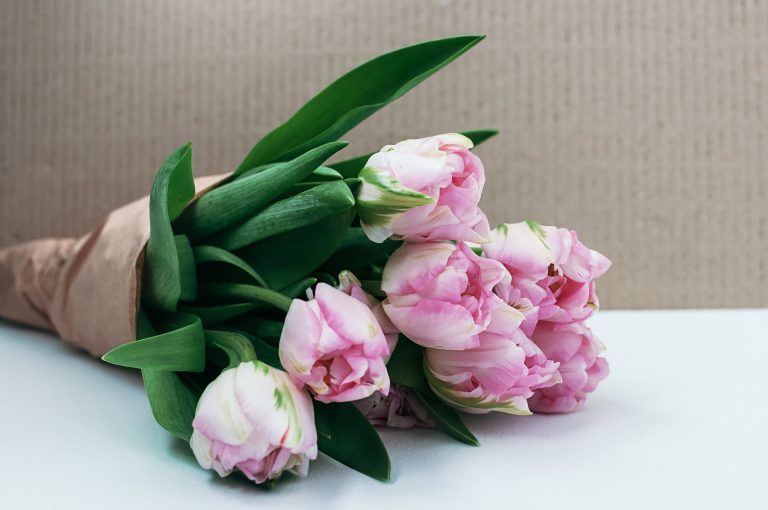 Pop Up Flower Shop