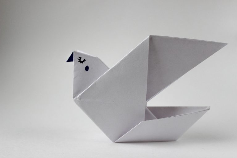 Creative Art Workshop with Mousehole Wild Bird Hospital