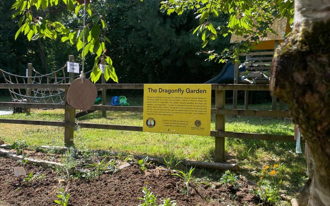 Alverton School create a dragonfly garden