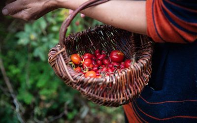 Rosyansow: Fruition